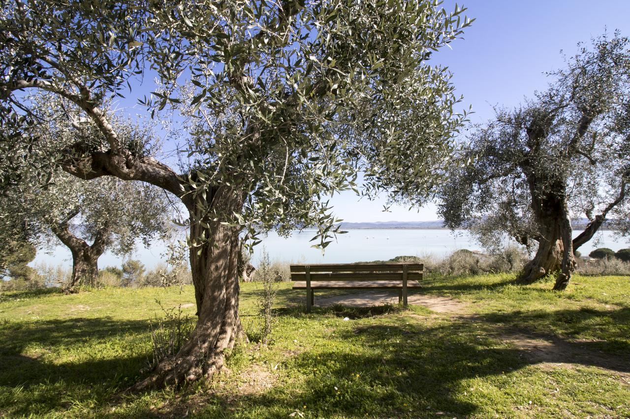 Baldovino Di Monte Bed & Breakfast Monte San Savino Exterior foto